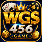 WGS456 GAME