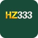 hz333 game
