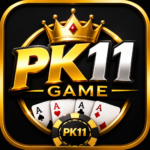 pk11 game