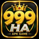 999HA GAME